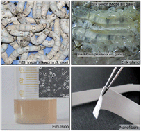 Graphical abstract: The effect of silk gland sericin protein incorporation into electrospun polycaprolactone nanofibers on in vitro and in vivo characteristics