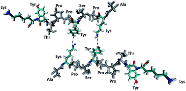 Graphical abstract: Cation–π interaction in DOPA-deficient mussel adhesive protein mfp-1