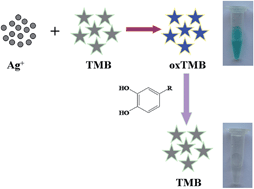 Graphical abstract: Simple and fast determination of catecholamines in pharmaceutical samples using Ag+–3,3′,5,5′-tetramethylbenzidine as a colorimetric probe