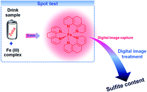 Graphical abstract: A digital image analysis method for quantification of sulfite in beverages