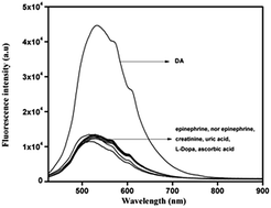 Graphical abstract: Thioglycolic acid capped CdS quantum dots as a fluorescent probe for the nanomolar determination of dopamine