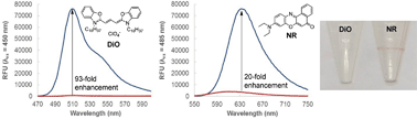 Graphical abstract: 3,3′-Dioctadecyloxacarbocyanine perchlorate (DiO) as a fluorogenic probe for measurement of critical micelle concentration