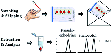 Graphical abstract: Dried blood spots (DBS) in doping controls: a complementary matrix for improved in- and out-of-competition sports drug testing strategies