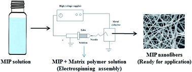 Graphical abstract: Recent developments in molecularly imprinted polymer nanofibers and their applications