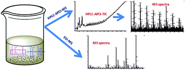 Graphical abstract: Probing initial polymer precursor solution used in poly(dimethylsiloxane) membrane preparation by HPLC-APCI-MS and ESI-MS