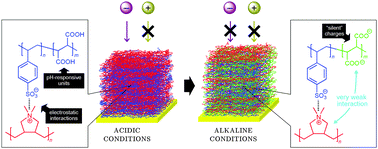 Graphical abstract: pH-responsive ion transport in polyelectrolyte multilayers of poly(diallyldimethylammonium chloride) (PDADMAC) and poly(4-styrenesulfonic acid-co-maleic acid) (PSS-MA) bearing strong- and weak anionic groups