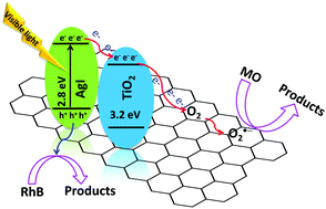 Graphical abstract: Carrier separation and charge transport characteristics of reduced graphene oxide supported visible-light active photocatalysts