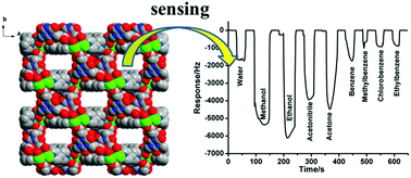 Graphical abstract: A metal–organic framework constructed using a flexible tripodal ligand and tetranuclear copper cluster for sensing small molecules