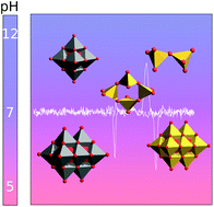 Graphical abstract: Characterization of decavanadate and decaniobate solutions by Raman spectroscopy