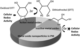 Graphical abstract: Redox activity and chemical interactions of metal oxide nano- and micro-particles with dithiothreitol (DTT)