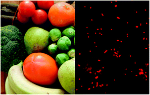 Graphical abstract: Impact of increasing fruit and vegetables and flavonoid intake on the human gut microbiota