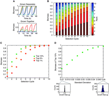 Graphical abstract: Performing selections under dynamic conditions for synthetic biology applications