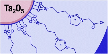 Graphical abstract: Determination of tantalum from tantalum oxide nanoparticle X-ray/CT contrast agents in rat tissues and bodily fluids by ICP-OES