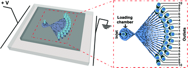 Graphical abstract: Highly efficient microfluidic sorting device for synchronizing developmental stages of C. elegans based on deflecting electrotaxis