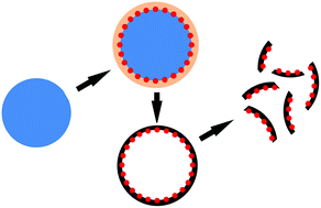 Graphical abstract: Stabilization of ultrafine metal nanocatalysts on thin carbon sheets