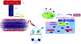 Graphical abstract: Distinct CPT-induced deaths in lung cancer cells caused by clathrin-mediated internalization of CP micelles