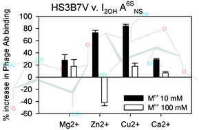 Graphical abstract: Heparan sulfate phage display antibodies recognise epitopes defined by a combination of sugar sequence and cation binding