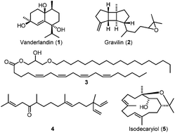 Graphical abstract: Chemical constituents of the soft corals Sinularia vanderlandi and Sinularia gravis from the coast of Madagascar