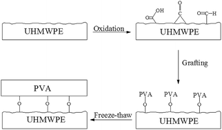 Graphical abstract: Preparation of ultrahigh-molecular-weight polyethylene grafted with polyvinyl alcohol hydrogel as an artificial joint