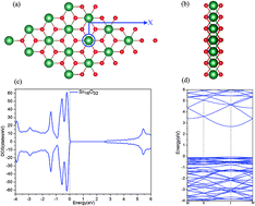 Graphical abstract: The magnetic and optical properties of 3d transition metal doped SnO2 nanosheets