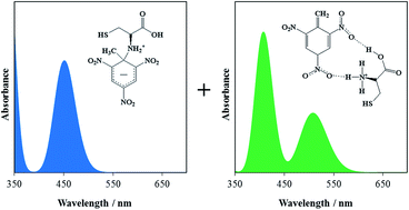 Graphical abstract: The mechanism of 2,4,6-trinitrotoluene detection with amino acid-capped quantum dots: a density functional theory study