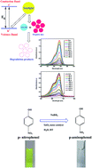 Graphical abstract: Photocatalytic-degradation and reduction of organic compounds using SnO2 quantum dots (via a green route) under direct sunlight