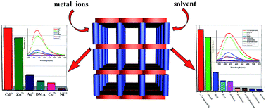 Graphical abstract: A pillar-layer MOF for detection of small molecule acetone and metal ions in dilute solution