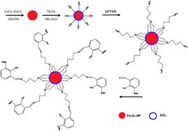 Graphical abstract: Improvement in the performance of a zinc ion-selective potentiometric sensor using modified core/shell Fe3O4@SiO2 nanoparticles