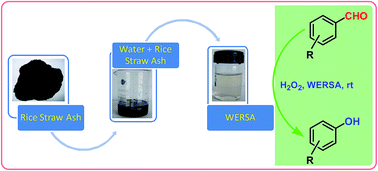 Graphical abstract: A new avenue to the Dakin reaction in H2O2–WERSA