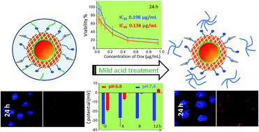 Graphical abstract: Synthesis of selenium nanoparticles with mesoporous silica drug-carrier shell for programmed responsive tumor targeted synergistic therapy