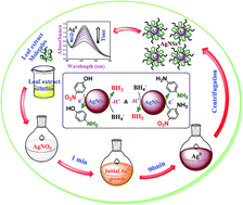 Graphical abstract: Silver-nanospheres as a green catalyst for the decontamination of hazardous pollutants