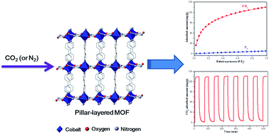 Graphical abstract: High and selective CO2 uptake in a nitrogen-rich pillar-layered metal organic framework