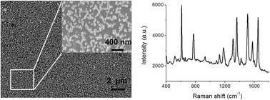 Graphical abstract: Facile and rapid fabrication of large-scale silver nanoparticles arrays with high SERS performance