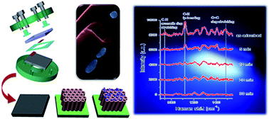 Graphical abstract: Microfluidic electrochemical growth of vertically aligned TiO2 nanotubes for SERS optofluidic devices