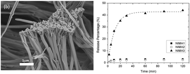 Graphical abstract: Coaxial nanotubes of stimuli responsive polymers with tunable release kinetics