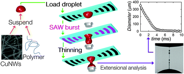 Graphical abstract: Extensional viscosity of copper nanowire suspensions in an aqueous polymer solution