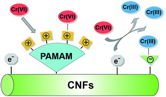 Graphical abstract: A super biosorbent from dendrimer poly(amidoamine)-grafted cellulose nanofibril aerogels for effective removal of Cr(vi)