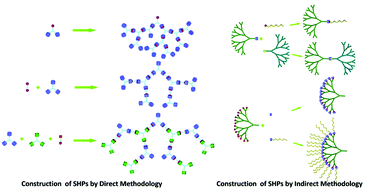Graphical abstract: Supramolecular hyperbranched polymers