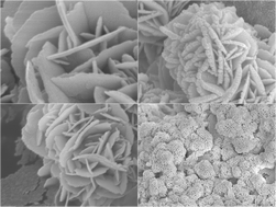 Graphical abstract: Facile template-free fabrication of novel flower-like γ-Al2O3 nanostructures and their enhanced Pb(ii) removal application in water