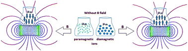 Graphical abstract: Magnetomigration of rare-earth ions in inhomogeneous magnetic fields