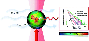 Graphical abstract: Dynamic viscosity mapping of the oxidation of squalene aerosol particles