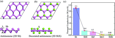 Graphical abstract: Predicted low thermal conductivities in antimony films and the role of chemical functionalization
