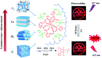 Graphical abstract: Highly luminescent and stable lyotropic liquid crystals based on a europium β-diketonate complex bridged by an ethylammonium cation