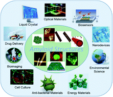 Graphical abstract: Self-assembling peptide and protein amyloids: from structure to tailored function in nanotechnology
