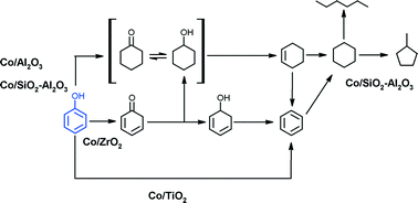 Graphical abstract: Phenol hydrodeoxygenation: effect of support and Re promoter on the reactivity of Co catalysts