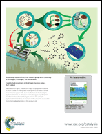 Graphical abstract: Back cover