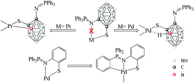 Graphical abstract: Deactivation of the coordinating ability of the iminophosphorane group by the effect of ortho-carborane