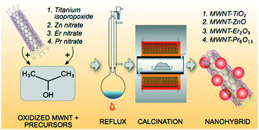 Graphical abstract: An elegant method for large scale synthesis of metal oxide–carbon nanotube nanohybrids for nano-environmental application and implication studies