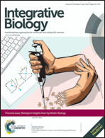 Graphical abstract: Front cover