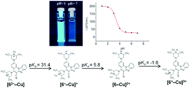 Graphical abstract: Fluorescent benzimidazo[1,2-a]quinolines: synthesis, spectroscopic and computational studies of protonation equilibria and metal ion sensitivity